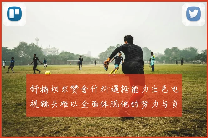 舒梅切尔赞舍什科逼抢能力出色电视镜头难以全面体现他的努力与贡献