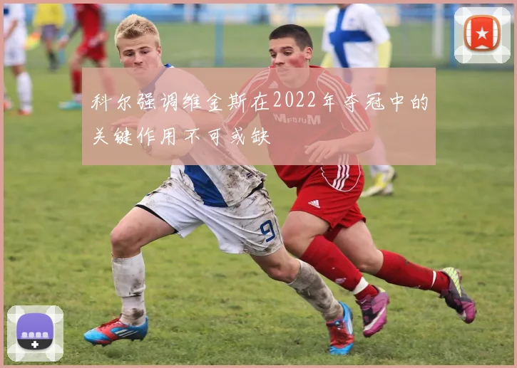 科尔强调维金斯在2022年夺冠中的关键作用不可或缺