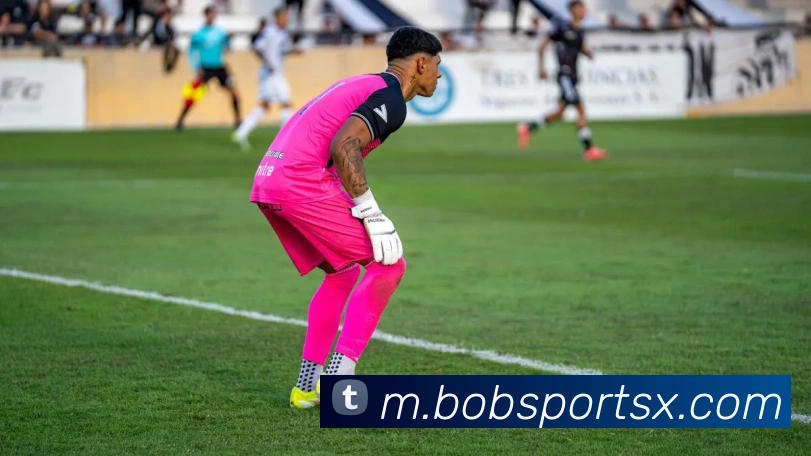 BOB体育APP 封面图